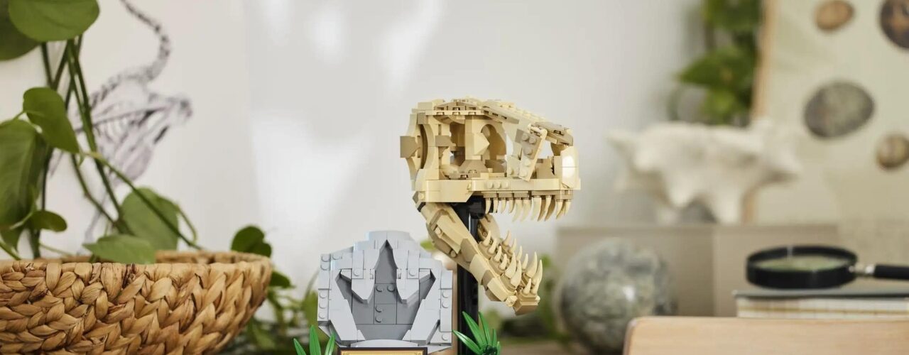 Get Your Own LEGO T. Rex Skull In Your Dinosaur Museum Get Your Own LEGO T. Rex Skull In Your Dinosaur Museum