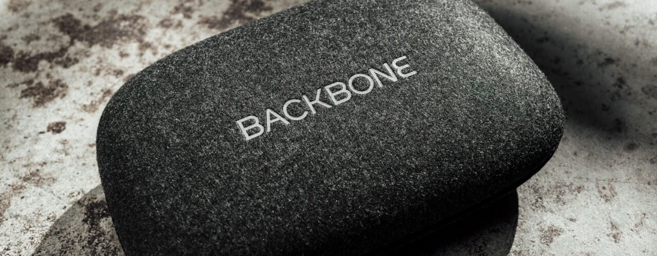 This Official Backbone One Carrying Case Is Sleek And Convenient