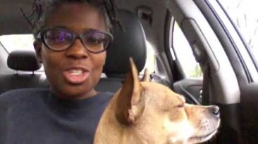 Come Utilizzare Al Meglio L’App Di UnionsBet Per Le Tue Scommesse Online